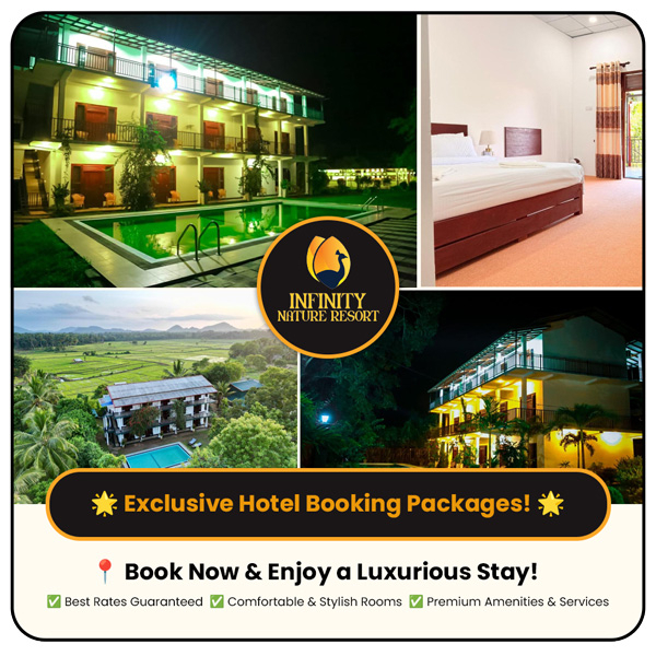 Deluxe AC Family Room HB ( 5 Person )