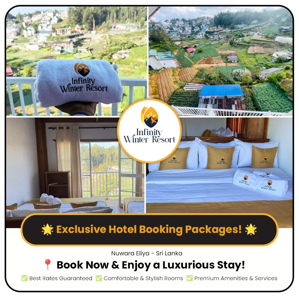 IWR Super Deluxe Room Only